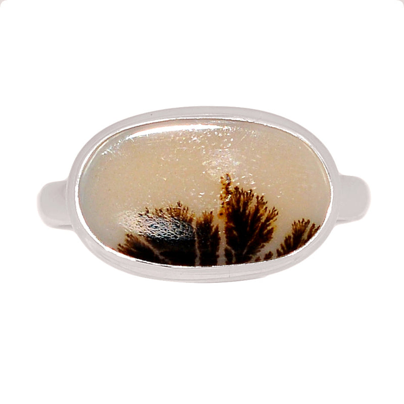 Scenic Dendritic Agate Ring - SDAR2055