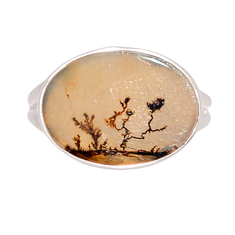 Scenic Dendritic Agate Ring - SDAR2057