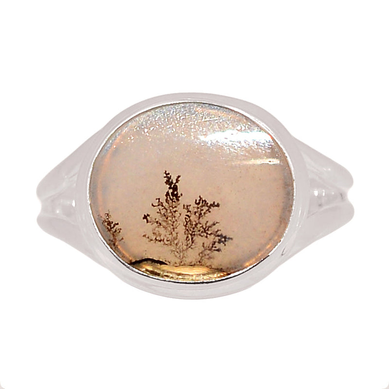 Scenic Dendritic Agate Ring - SDAR2059