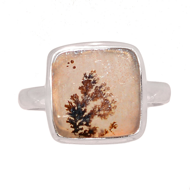 Scenic Dendritic Agate Ring - SDAR2066