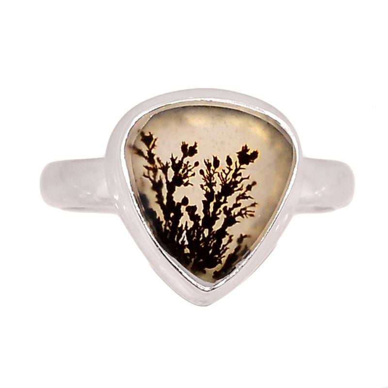 Scenic Dendritic Agate Ring - SDAR2067