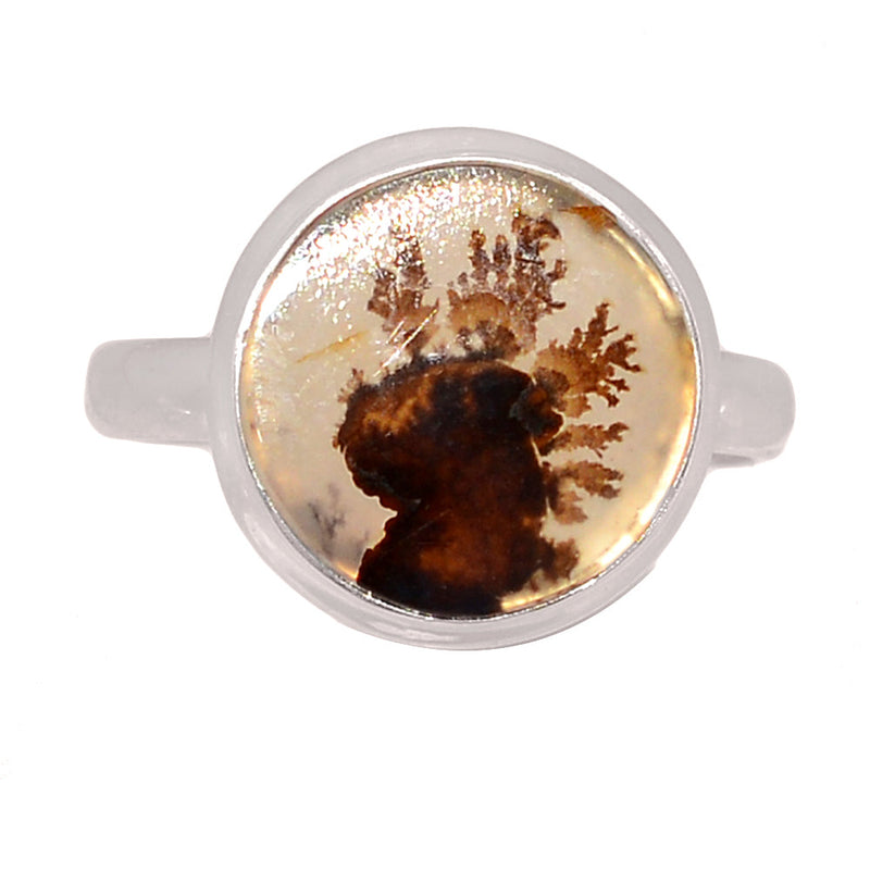 Scenic Dendritic Agate Ring - SDAR2070