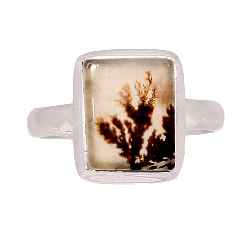 Scenic Dendritic Agate Ring - SDAR2071
