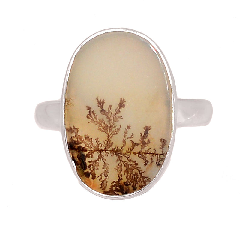 Scenic Dendritic Agate Ring - SDAR2073