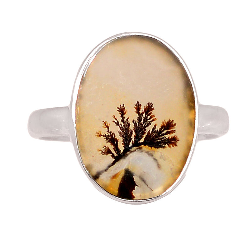 Scenic Dendritic Agate Ring - SDAR2078