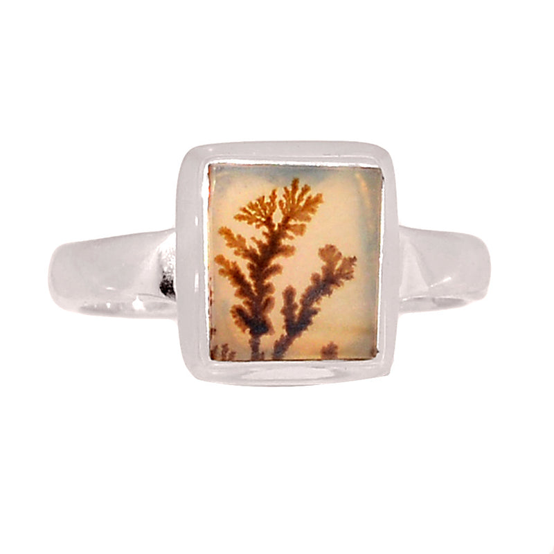 Scenic Dendritic Agate Ring - SDAR2079