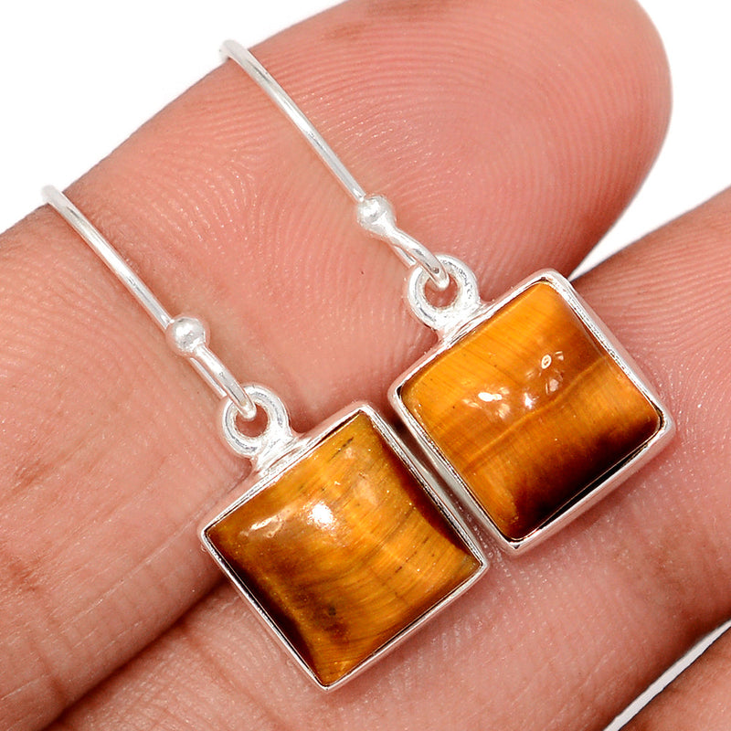 1.1" Tiger Eye Earrings - TEYE921