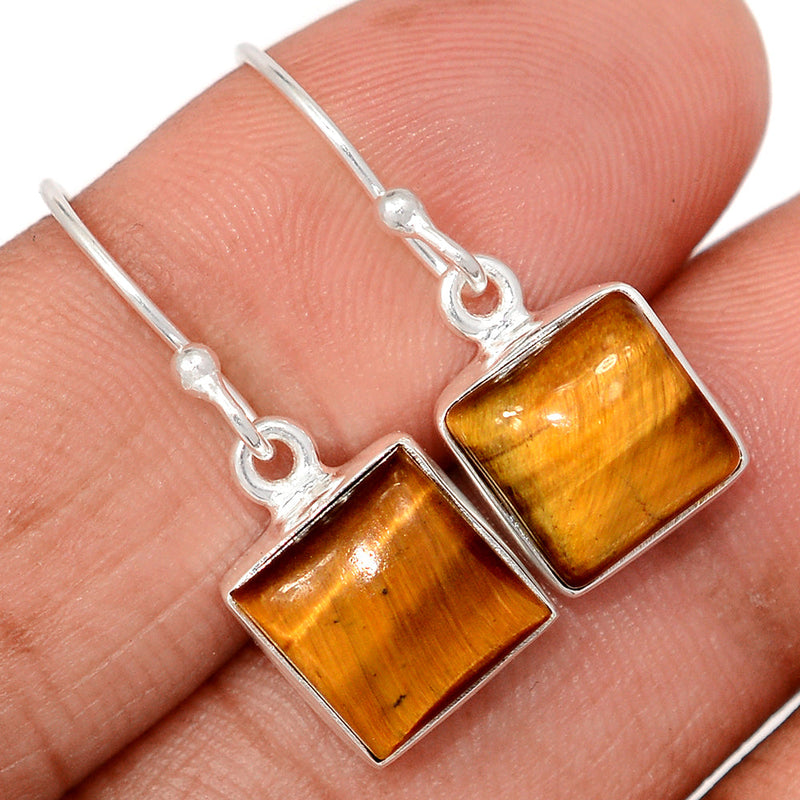 1.1" Tiger Eye Earrings - TEYE928