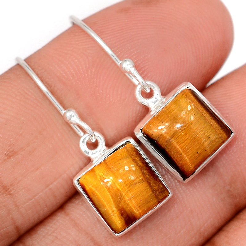 1.1" Tiger Eye Earrings - TEYE930