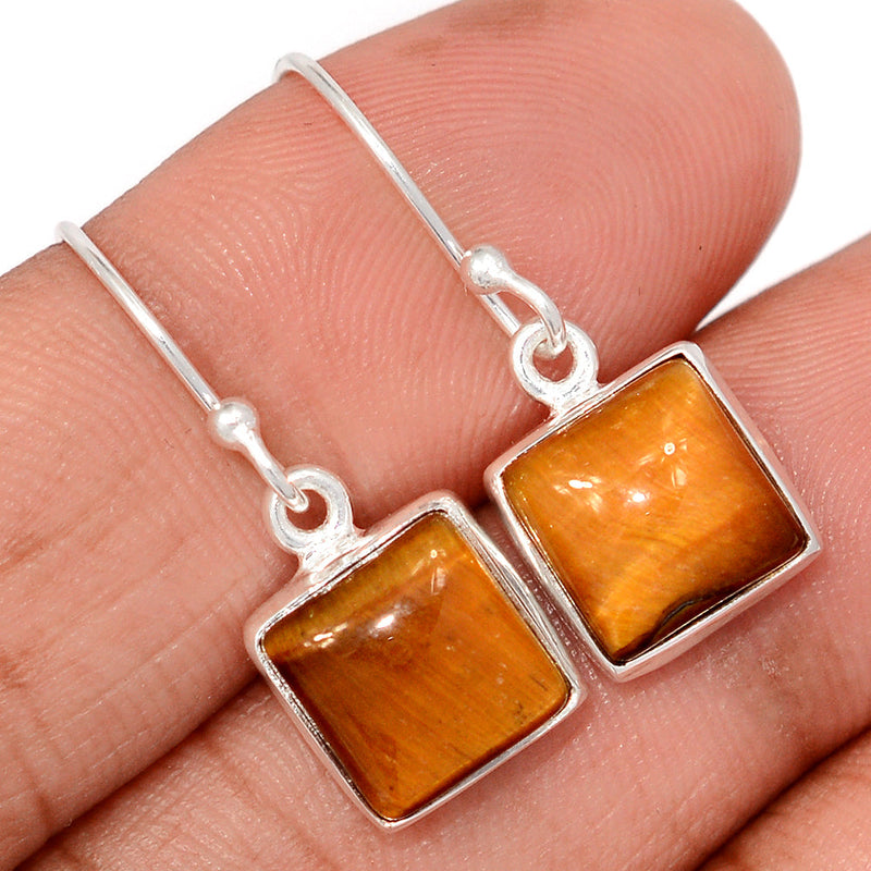 1.1" Tiger Eye Earrings - TEYE940