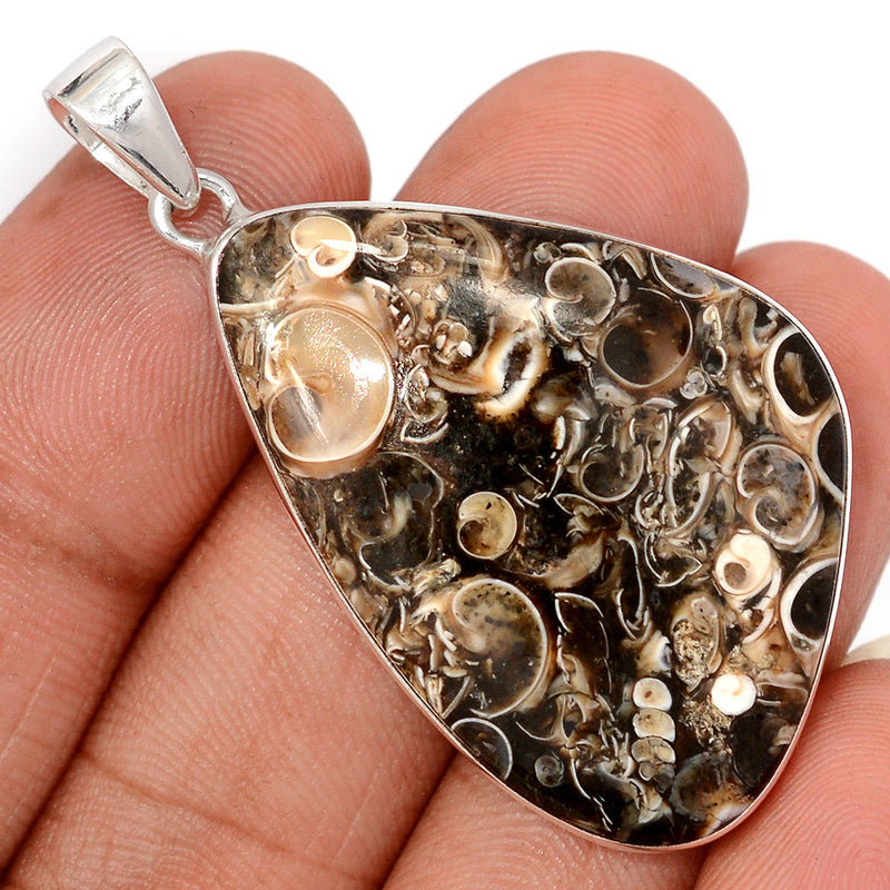 2" Turtella Jasper Pendants - TTJP758