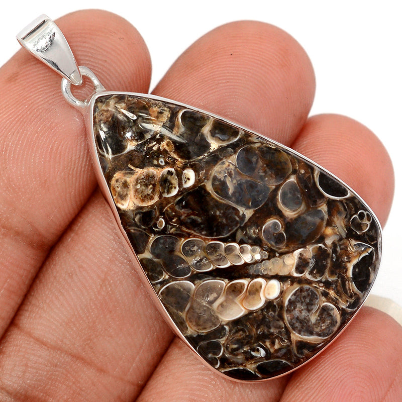 2" Turtella Jasper Pendants - TTJP759