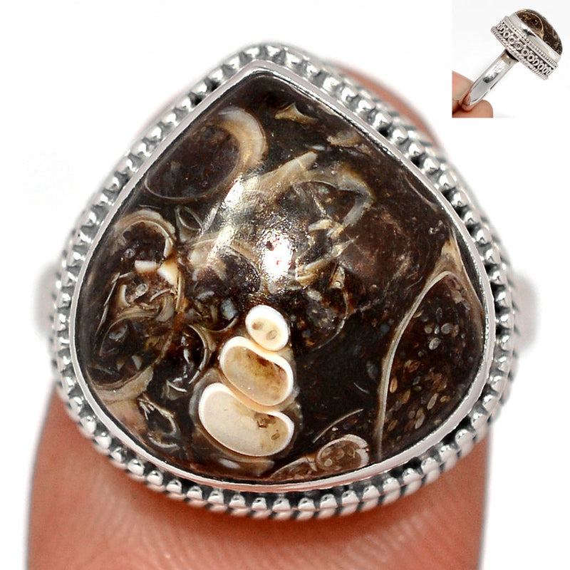 Fine Filigree - Turtella Jasper Ring - TTJR653