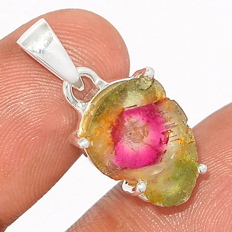 1" Claw - Watermelon Tourmaline Slice Pendants - WTSP487