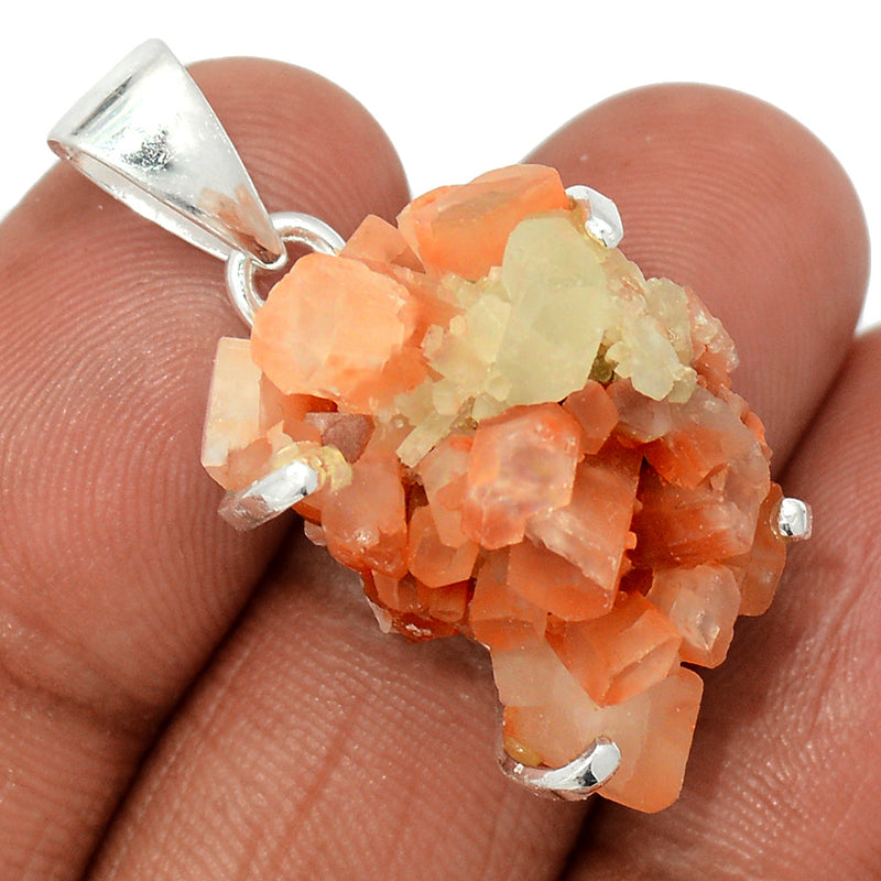 1.3" Claw - Aragonite Crystal Star Pendants - ACSP312