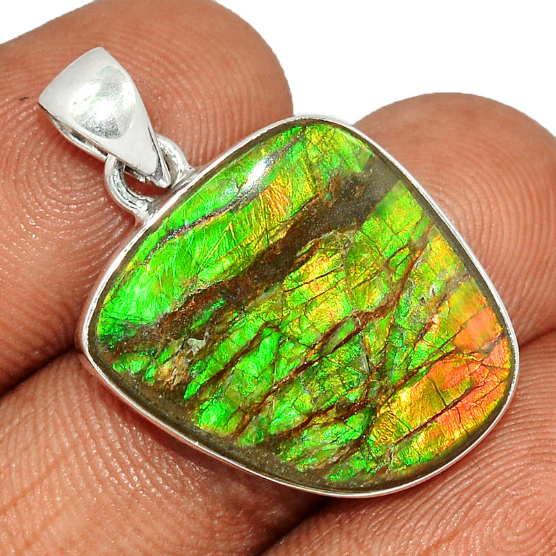 1.2" Ammolite Pendants - AMLP2656