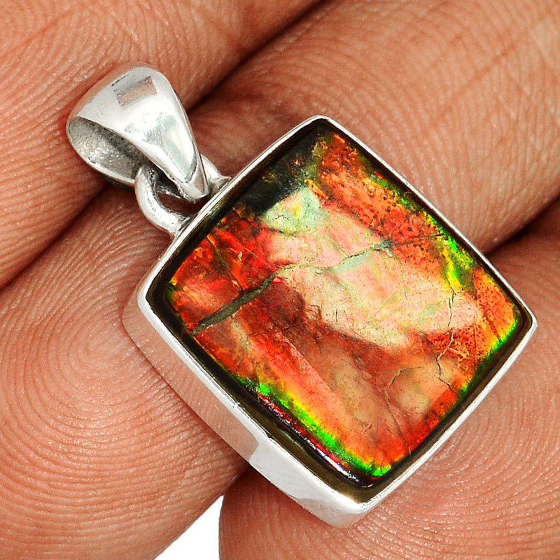1.1" Ammolite Pendants - AMLP2680