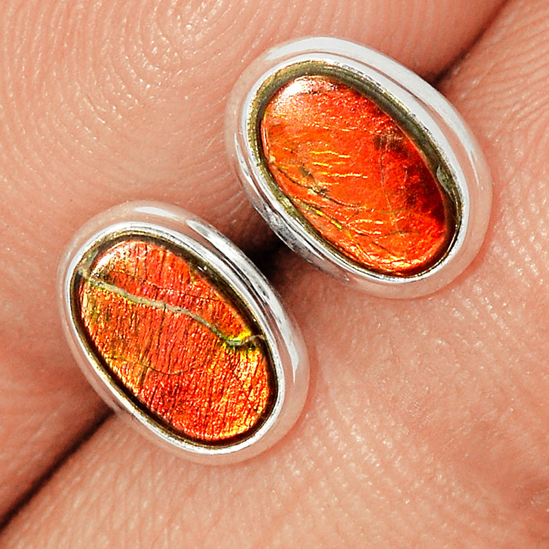 Ammolite Studs - AMLS150