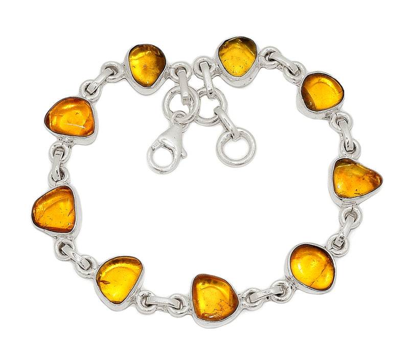 8.2" Baltic Amber Bracelets - BAMB36