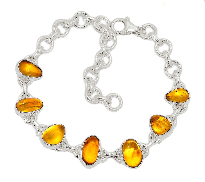 8.3" Baltic Amber Bracelets - BAMB46