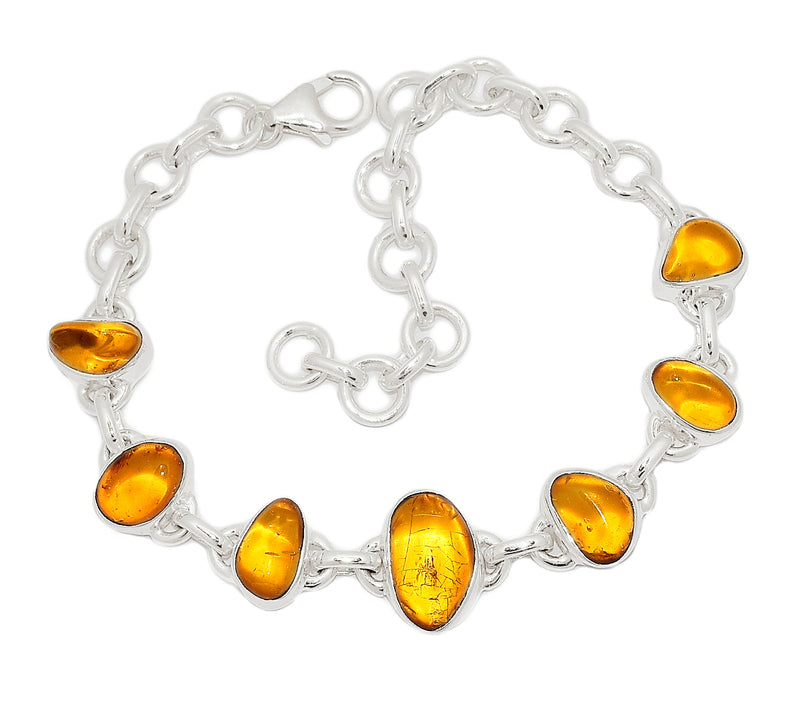 8.3" Baltic Amber Bracelets - BAMB48