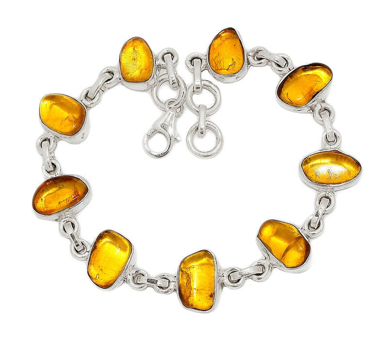 8" Baltic Amber Bracelets - BAMB52