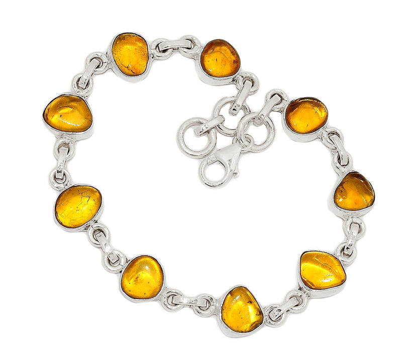 8.1" Baltic Amber Bracelets - BAMB53