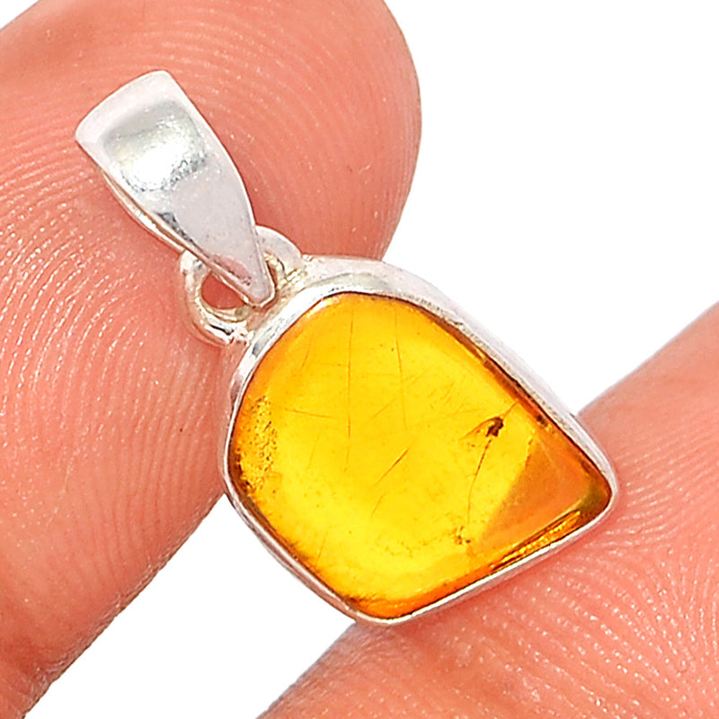 0.8" Baltic Amber Pendants - BAMP832