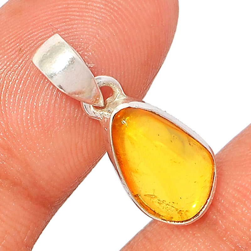 1" Baltic Amber Pendants - BAMP845