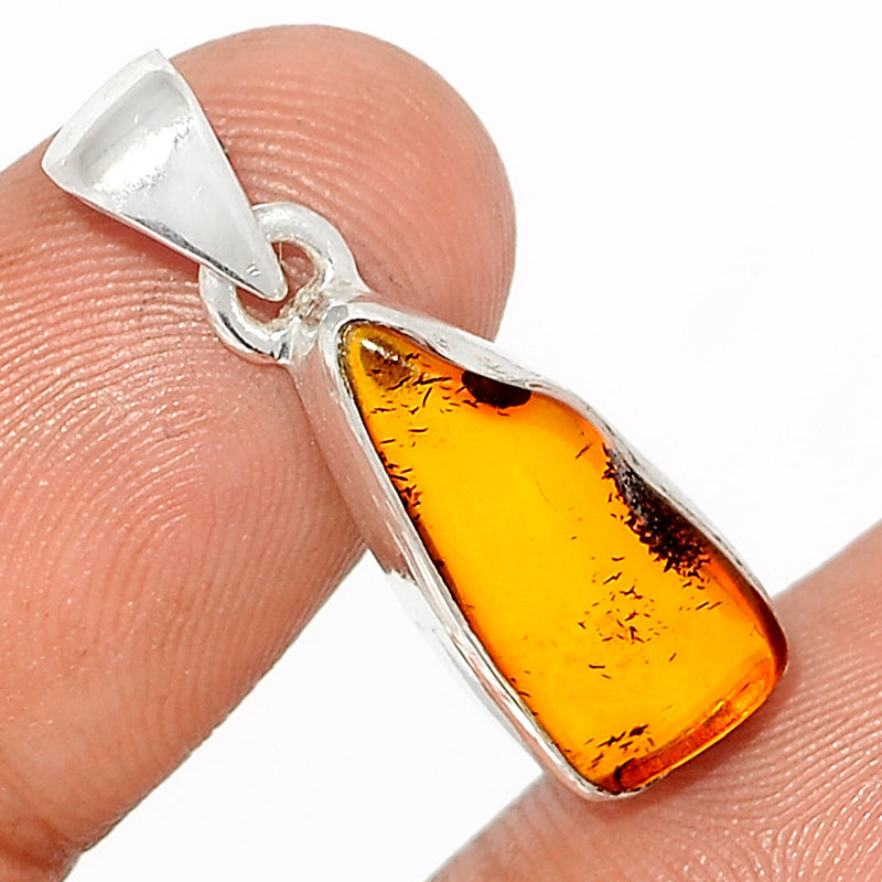 1.1" Baltic Amber Pendants - BAMP893