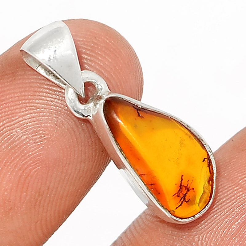 1" Baltic Amber Pendants - BAMP898