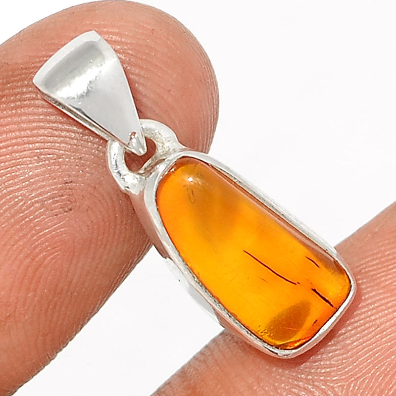 1" Baltic Amber Pendants - BAMP953