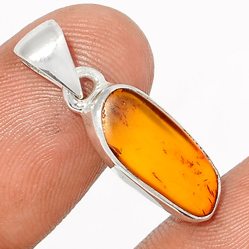 1" Baltic Amber Pendants - BAMP956