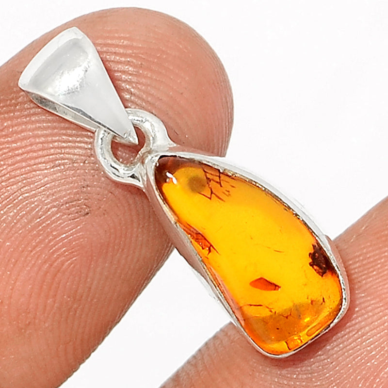 1" Baltic Amber Pendants - BAMP958