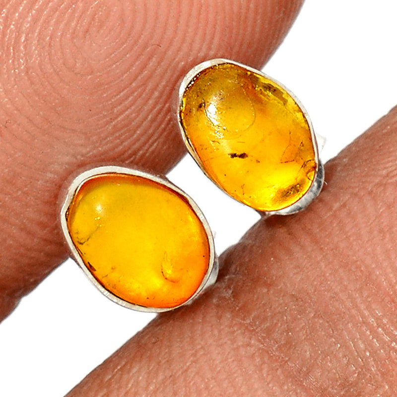 Baltic Amber Studs - BAMS48