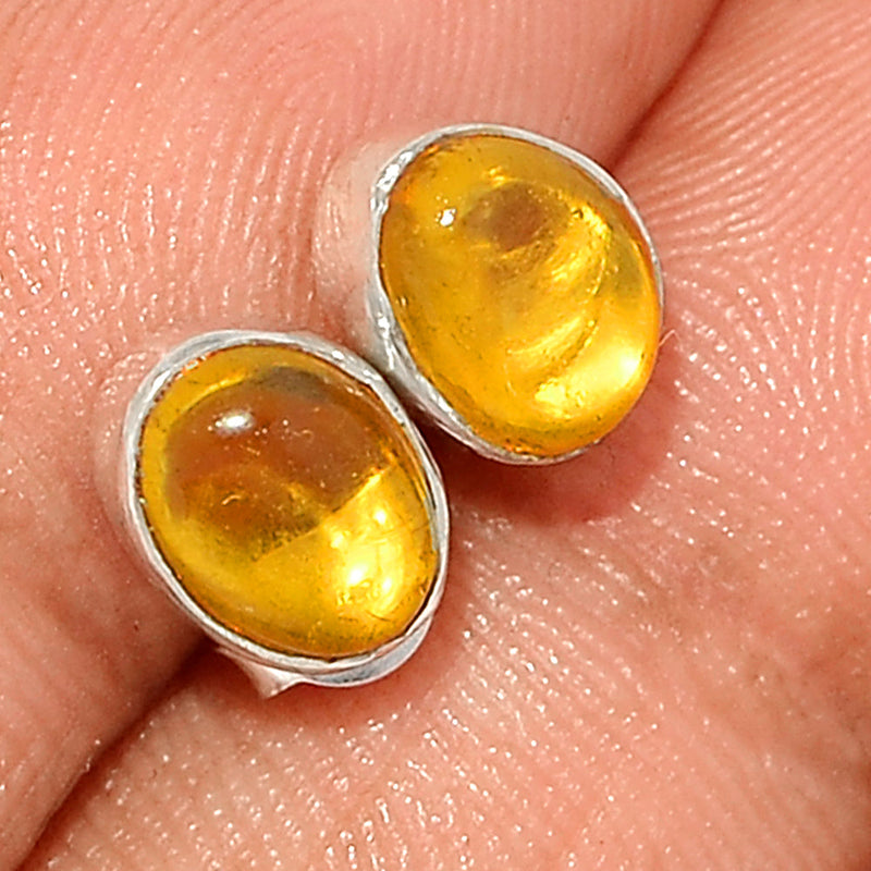 Baltic Amber Studs - BAMS53