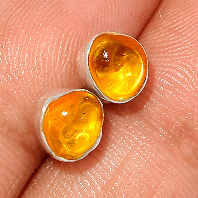 Baltic Amber Studs - BAMS60