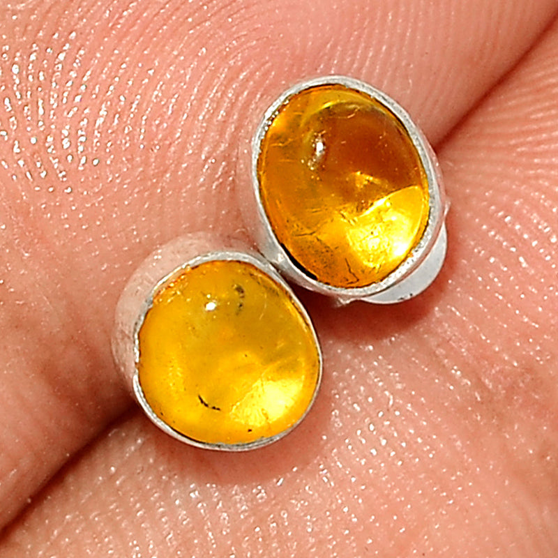 Baltic Amber Studs - BAMS64