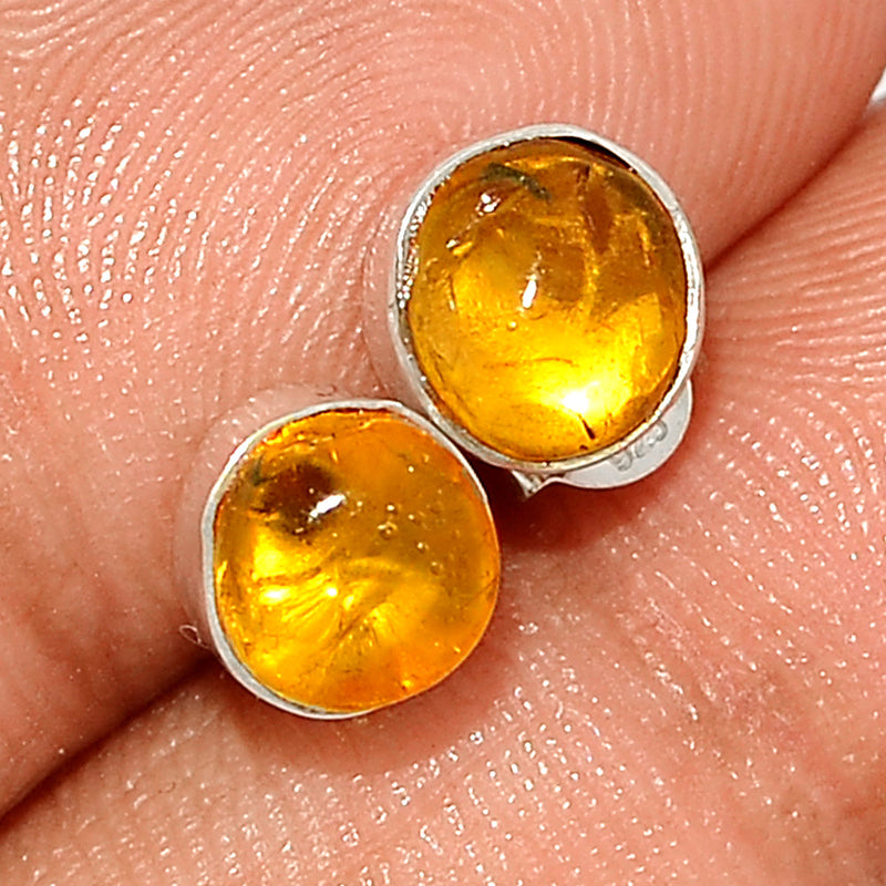 Baltic Amber Studs - BAMS67