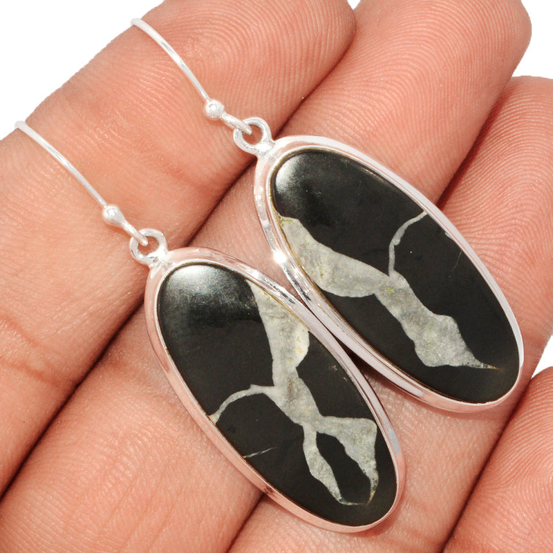 2" Lip Setting - Black Septarian Earrings - BSRE37