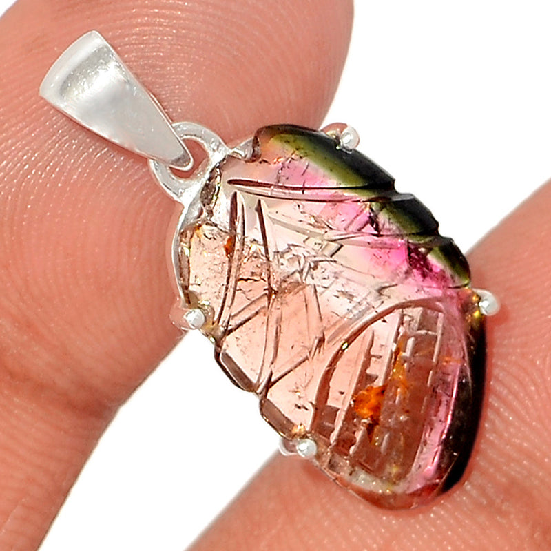 1.2" Claw - Carved Watermelan Tourmaline Slice Pendants - CWTP12