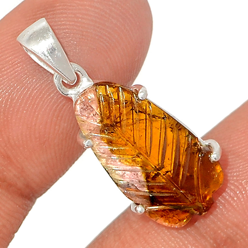 1.1" Claw - Carved Watermelan Tourmaline Slice Pendants - CWTP14
