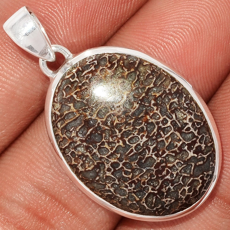 1.5" Dinosaur Bone Pendants - DNOP886