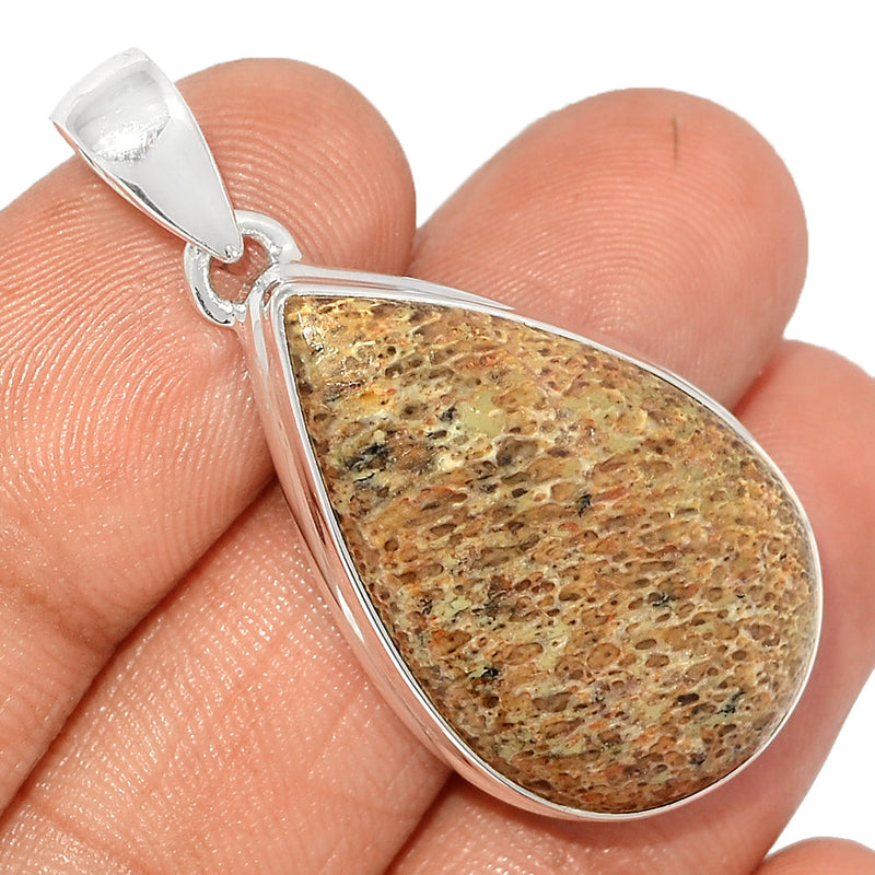 1.6" Dinasour Bone Pendants - DNOP939