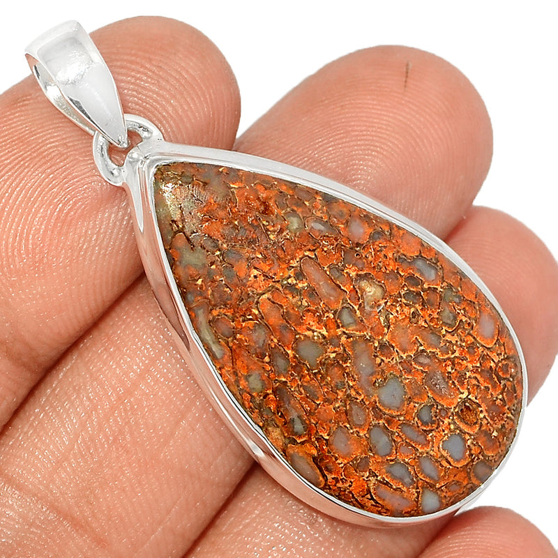 1.8" Dinasour Bone Pendants - DNOP942