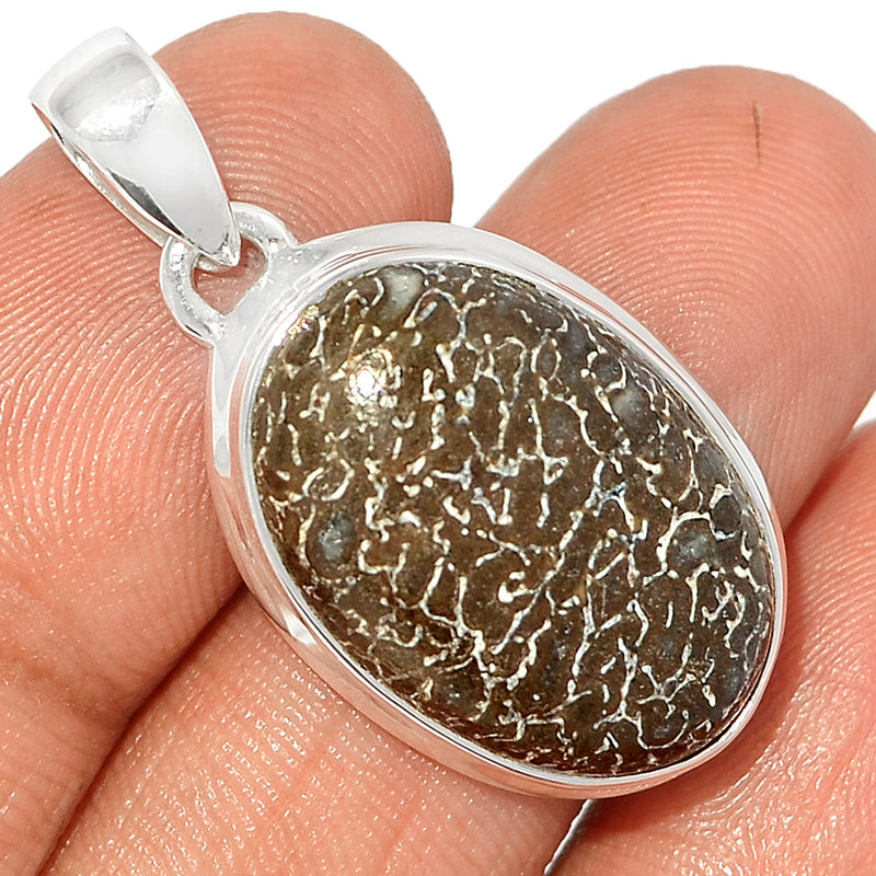 1.3" Dinasour Bone Pendants - DNOP953