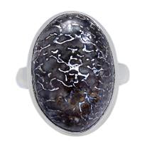 Dinosaur Ring - DNOR553