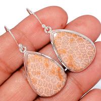 Indonesian Fossil Coral Earring-FSCE100