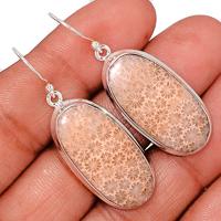 Indonesian Fossil Coral Earring-FSCE105