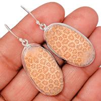 Indonesian Fossil Coral Earring-FSCE116
